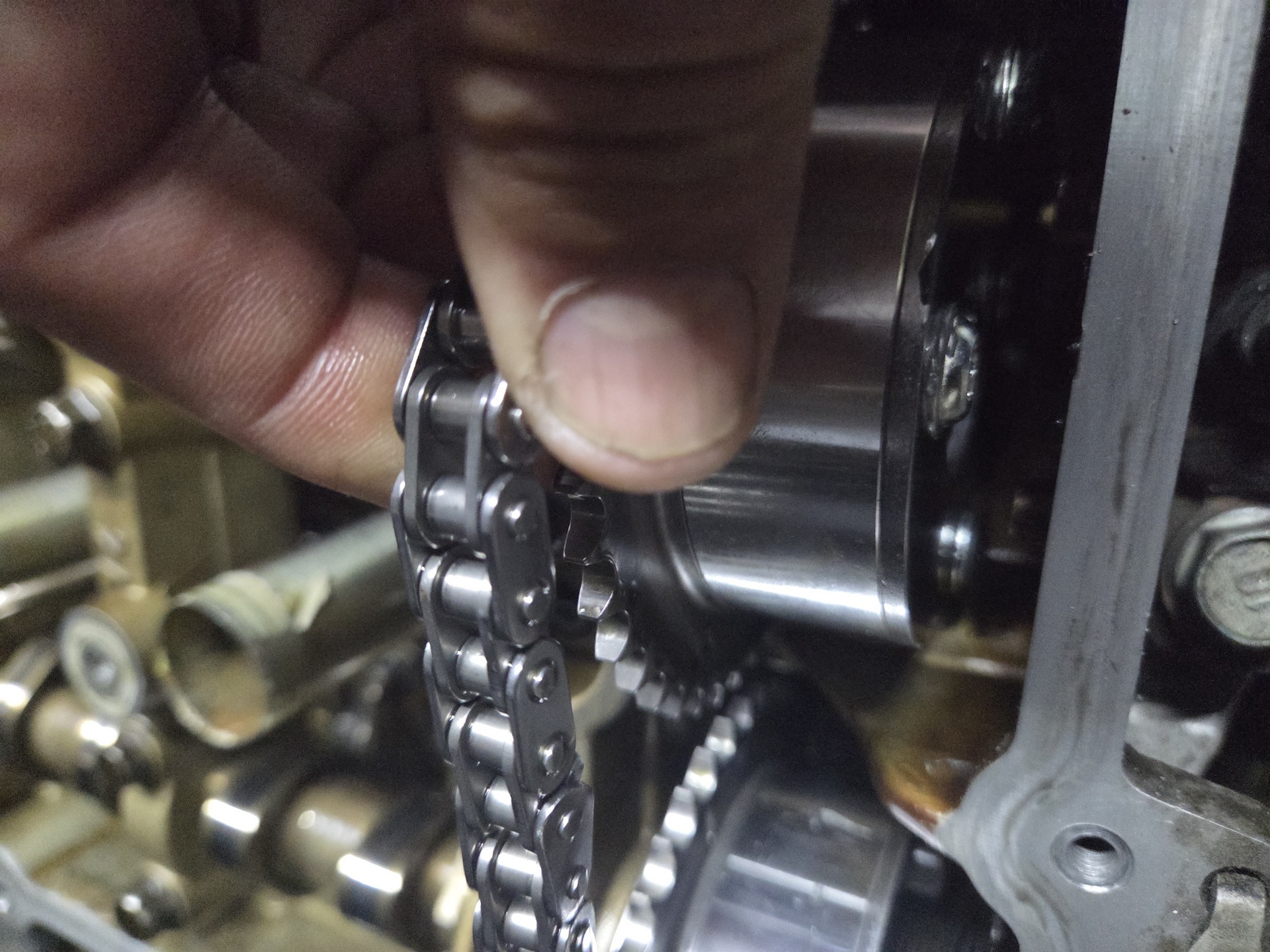 Timing Chais and Belts